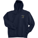 Delaware Jr. Blue Hens Ultimate Cotton - Pullover Hooded Sweatshirt
