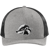 Allegheny Badgers New Era Snapback Low Profile Trucker Cap