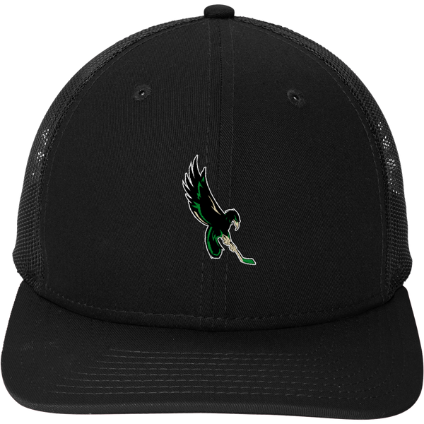 Wilmington Nighthawks New Era Snapback Low Profile Trucker Cap