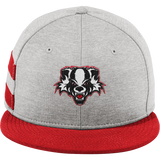 Scary Badgers New Era Shadow Heather Striped Flat Bill Snapback Cap