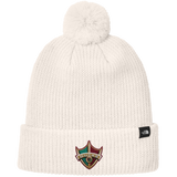Delaware Ducks The North Face Pom Beanie