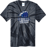 Brandywine Outlaws Youth Tie-Dye Tee